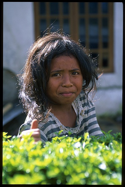 Indonesian Girl