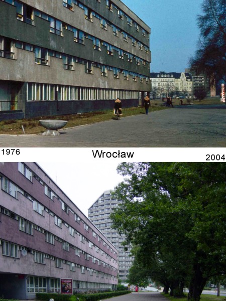 Wrocław - moje miasto. Parawanowiec