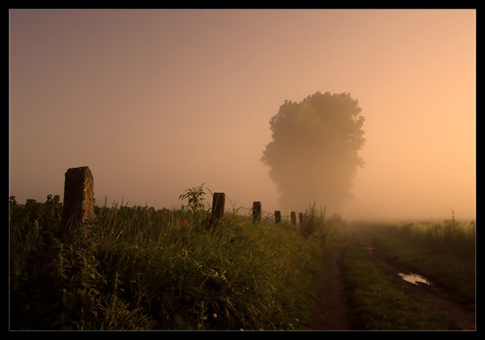 boundless fields....