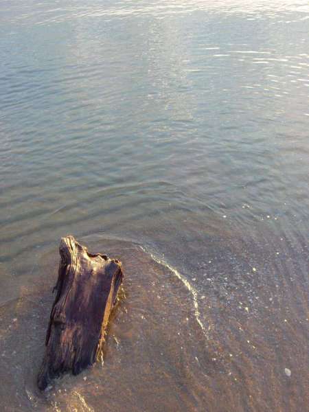 Gdańsk - plaża o wschodzie słońca