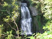 bushkill falls