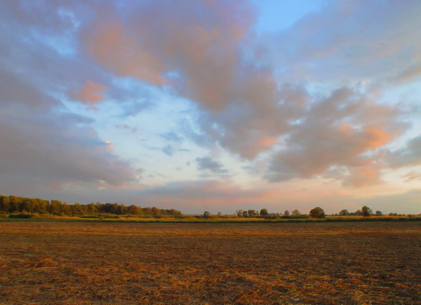 Podążając na Wolice