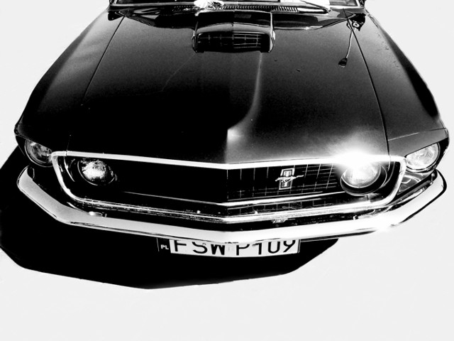 Mustang (II)