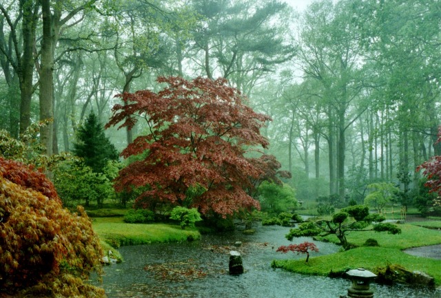 japanese garden