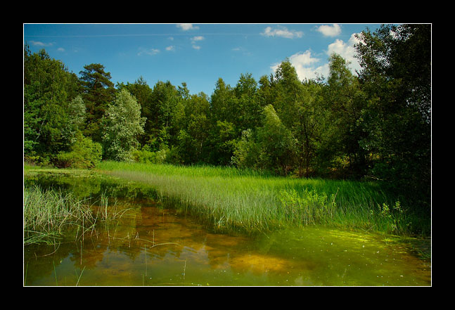 Zabie klimaty