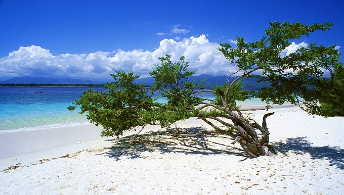 GILI MENO