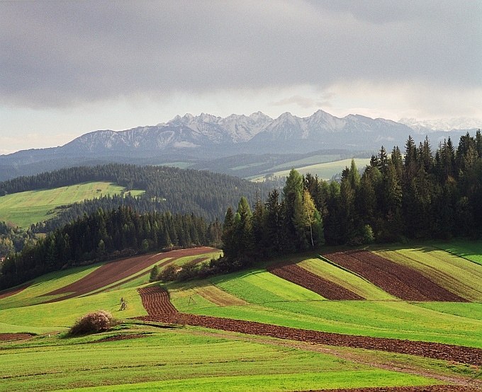 gdzieś w Pieninach