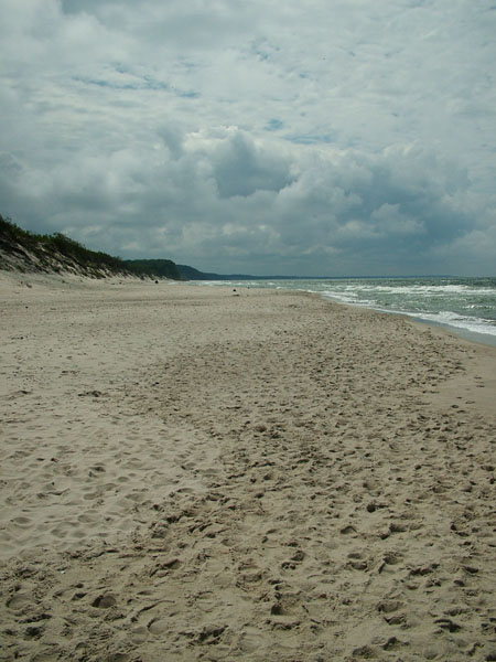 Dzika plaża.