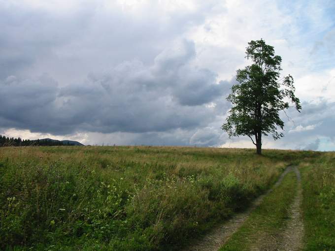 Sianki (Bieszczady)