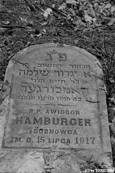 p.Hamburger