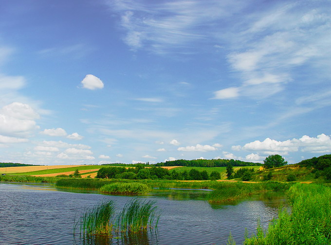 Południe w Nieledwi