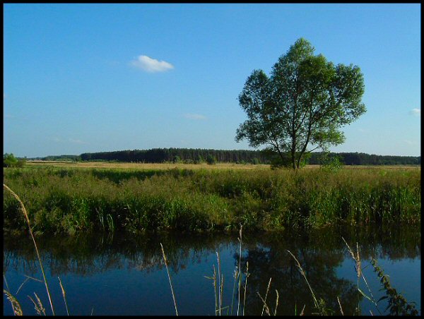 Za rzeką...