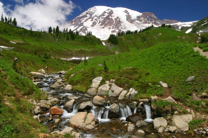 Mt Rainier