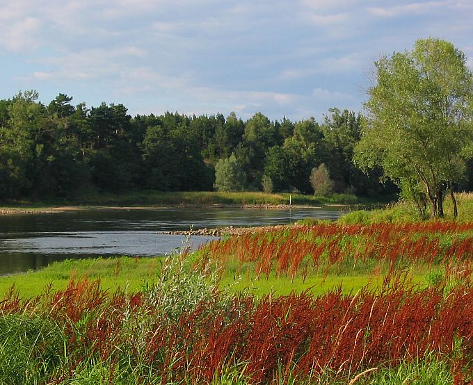 plener nad rz.Odrą