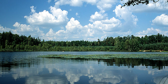 Warmia...jeziorko srodlesne...