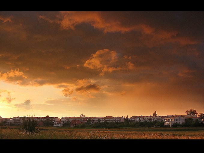 Staszów