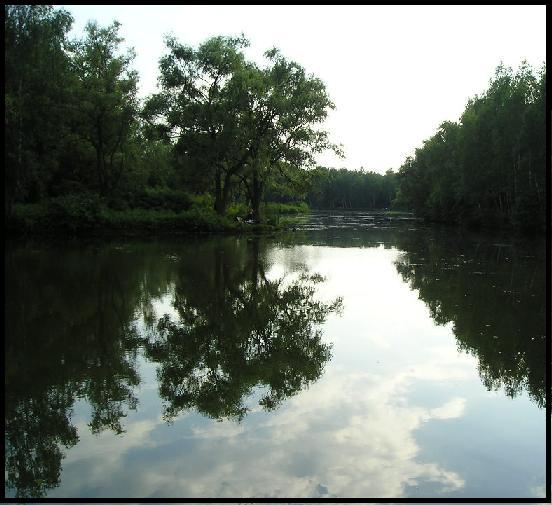 Kazimierz Górniczy-Park:)