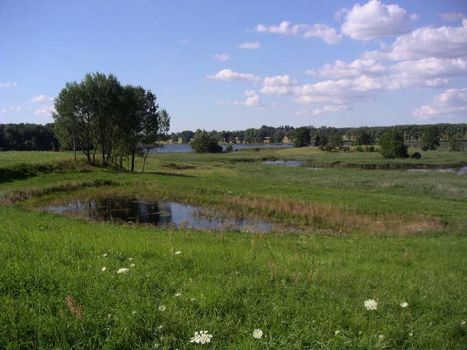 a to warmia właśnie