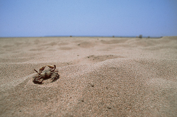 Hot summer in the Hamptons...