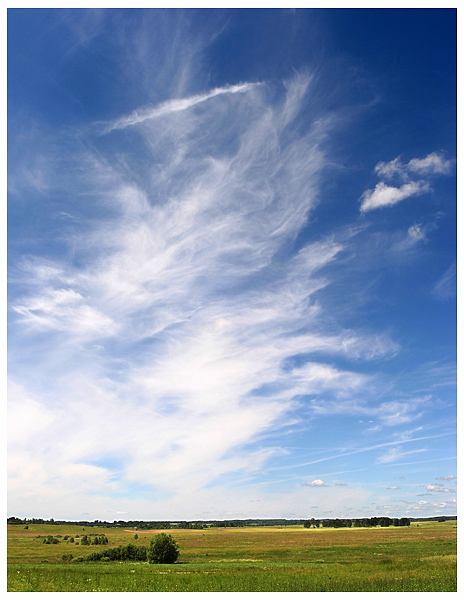 Cirrus nad stepem