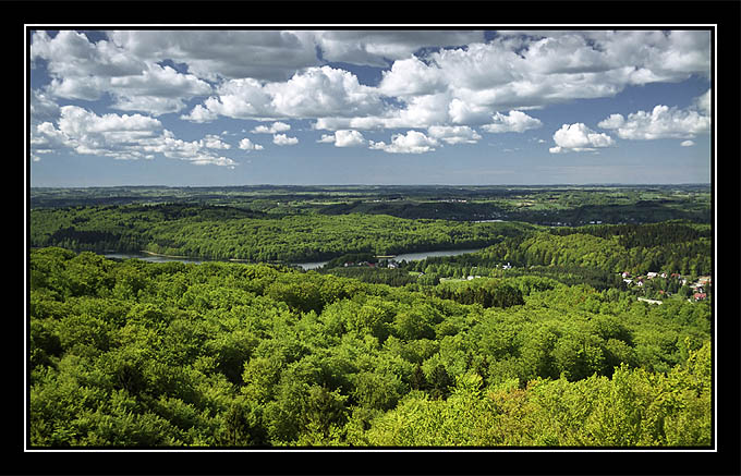 Wieżyca