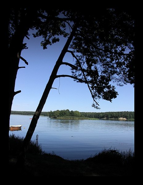 gdzieś niedaleko