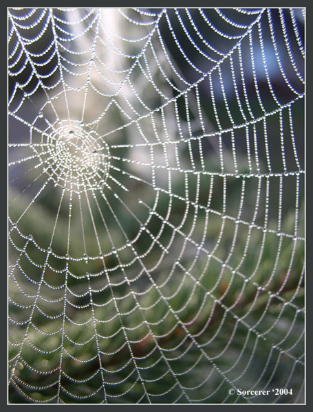 WEB (I)