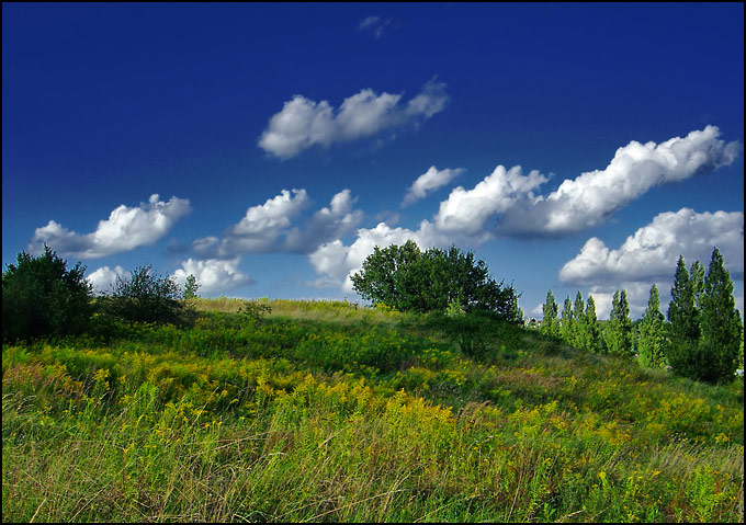 zajączek