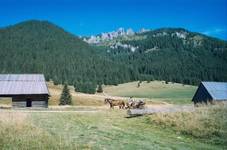 tatry 2003r