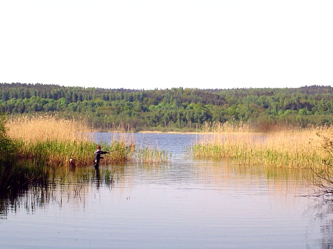 Scenka rodzajowa