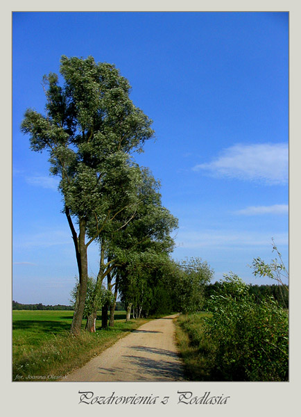 Kartka z rodzinnego Podlasia