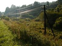 Bieszczady...