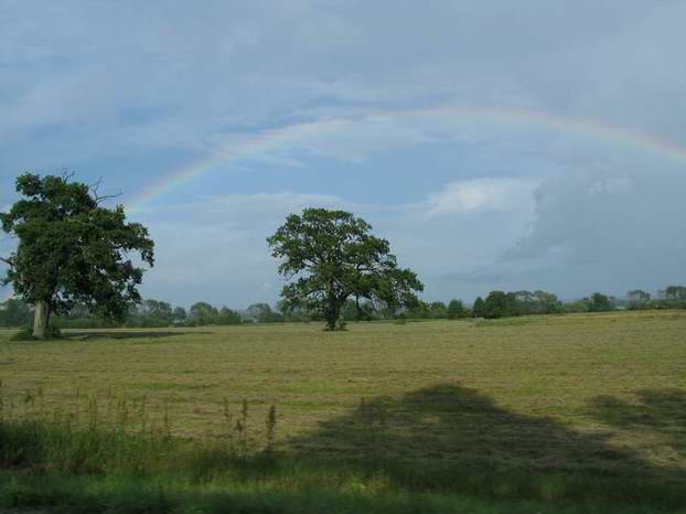 The Swedish Rainbow