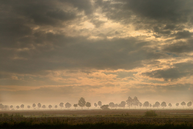 Żuławskie klimaty