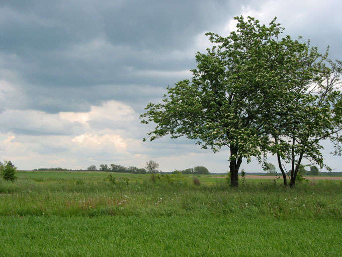 Będzie padać