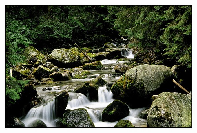 Tatry