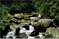 Tatry