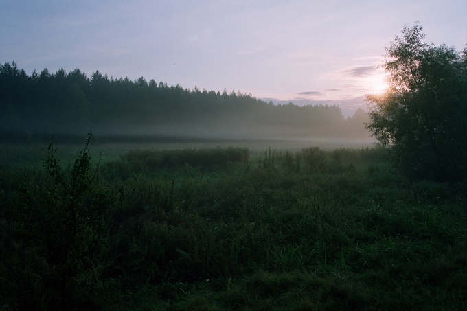 bez tytułu