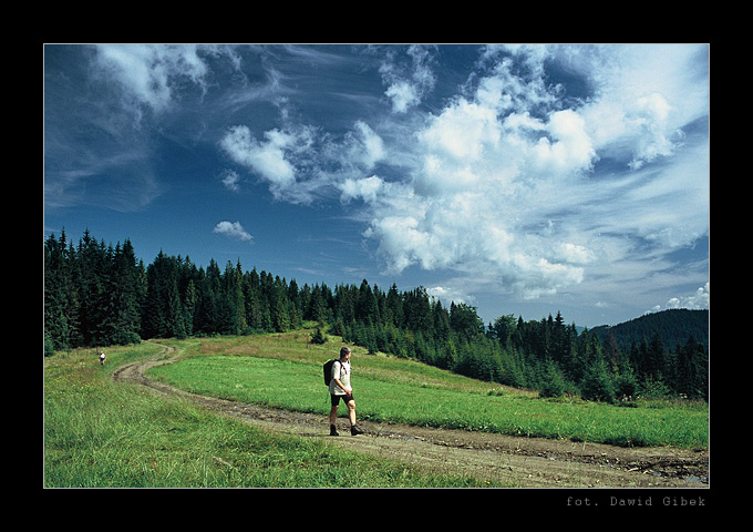 Gorce: Przełęcz Pośrednia - 918 m n.p.m. - www.tinyurl.com/5vur7