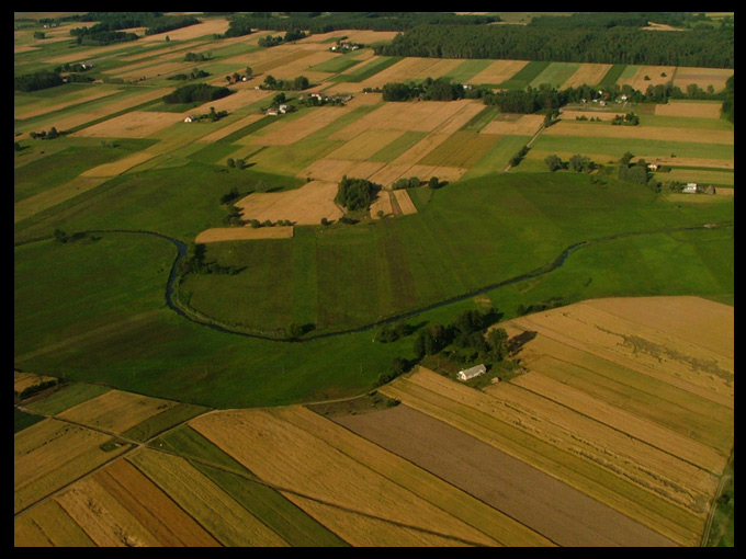 rzeczka