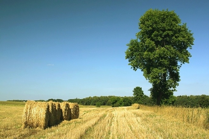 Letnie klimaty...cz.2