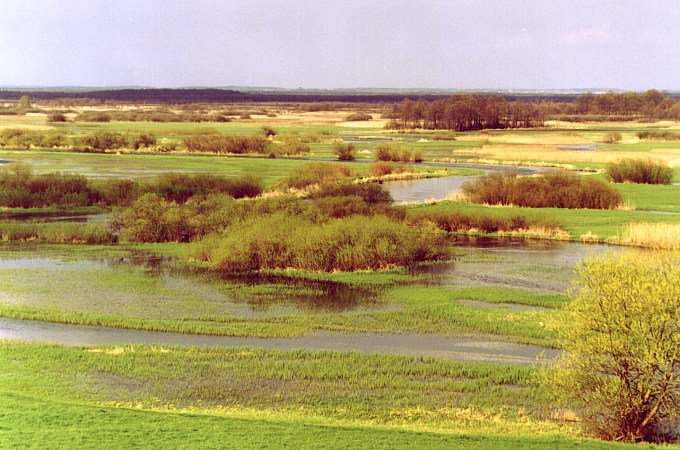 Bagno Ławki