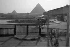 Giza