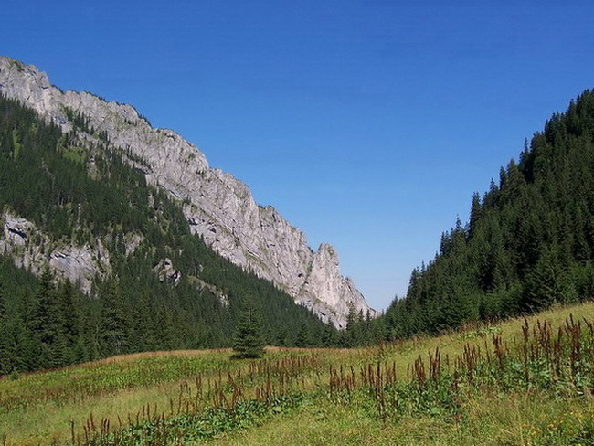 Tatry