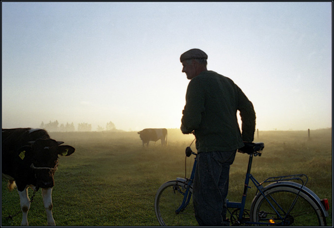 Shepherd