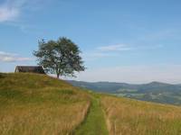 Beskid Sadecki - sierpien