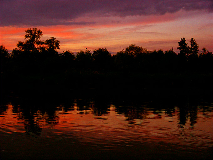 Narew.04