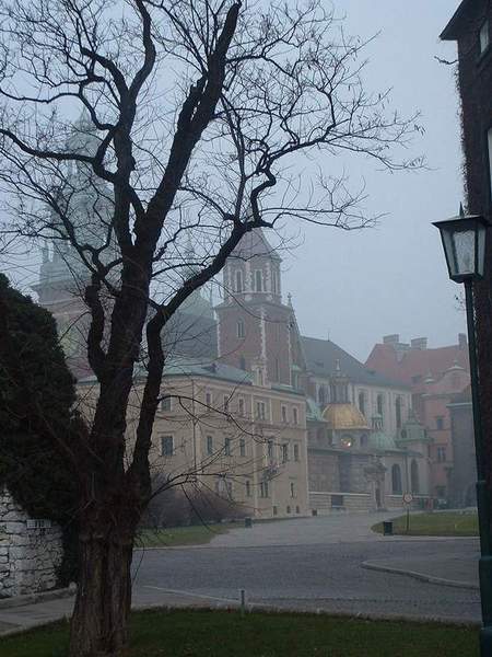 zamglony Wawel