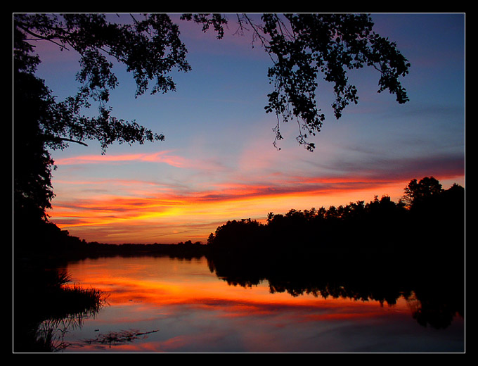 Narew