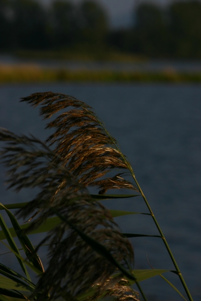 Pomaluj mój świat